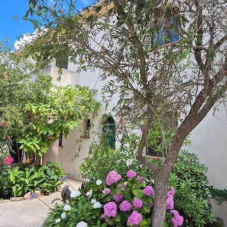 Appartement Joli Climatise Avec Terrasse A Moin 10 Minutes A Pieds De La Calvi (Corsica)