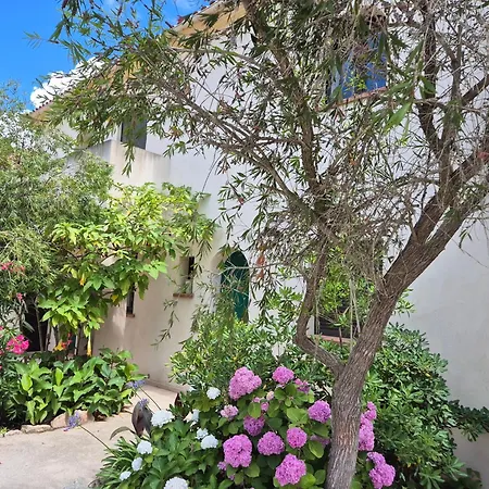 Apartmán Joli Climatise Avec Terrasse A Moin 10 Minutes A Pieds De La Calvi (Corsica)